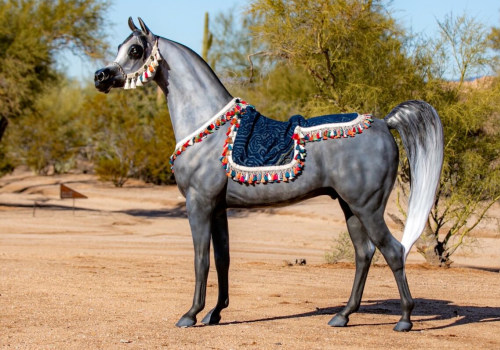 The Annual Scottsdale Arabian Horse Show: A Spectacular Event in Scottsdale, AZ