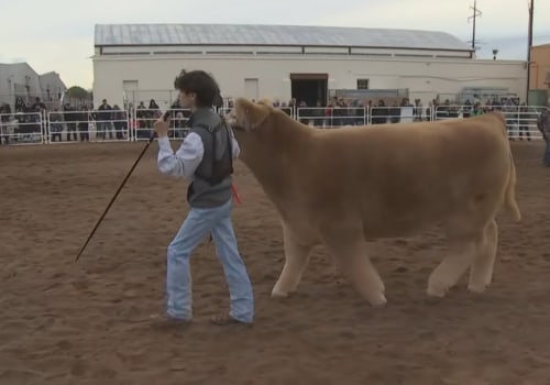 Exploring the Arizona National Livestock Show in Phoenix (near Scottsdale)